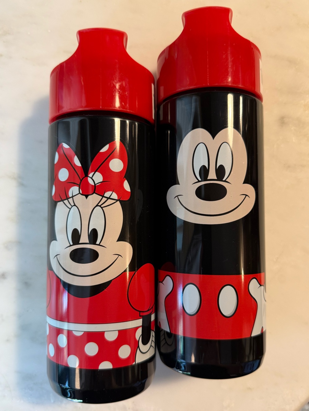 Disney Mickey & Minnie Character Water Bottles - Flip Top - PAIR! NEW!